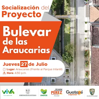 Socialización proyecto Bulevar de la Araucarias
